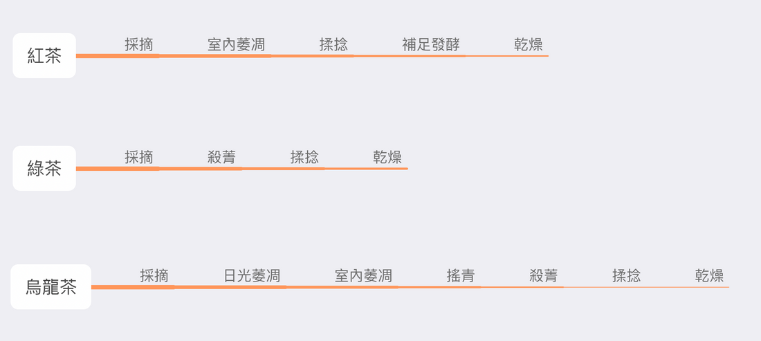 紅茶、綠茶、烏龍茶之間的差異你知道多少？帶你認識這三種茶類的製造過程！